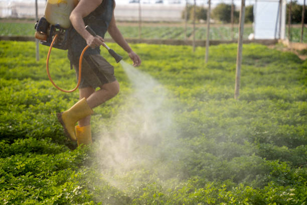 Trusted Copperton, UT Pest Control Experts
