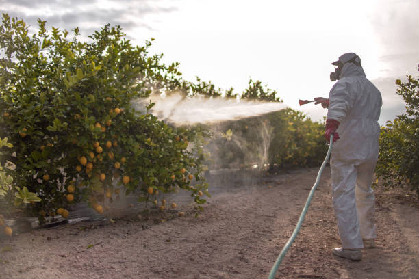 Best Pest Removal Services  in Copperton, UT