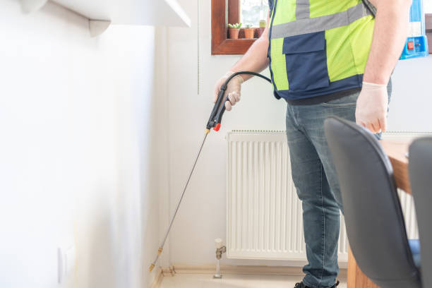 Best Wasp Removal Services  in Copperton, UT