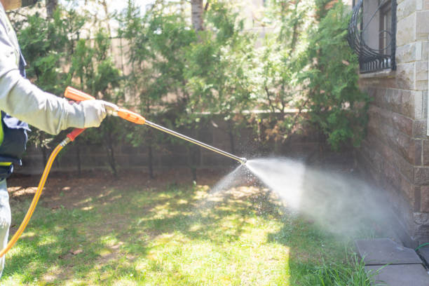 Best Emergency Pest Control  in Copperton, UT