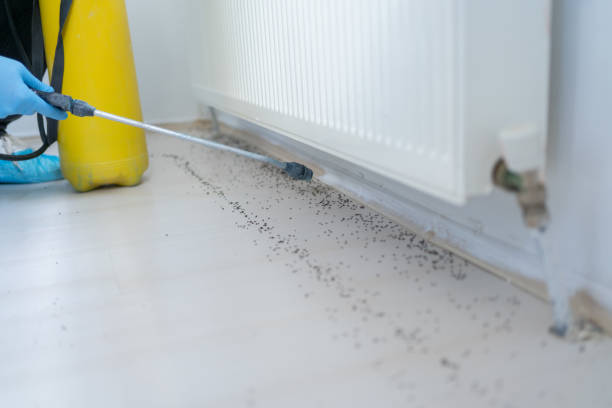Best Pest Control for Homes  in Copperton, UT