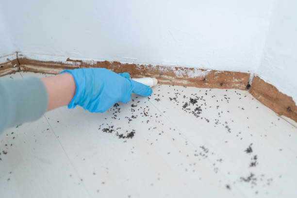 Pest Control for Restaurants in Copperton, UT